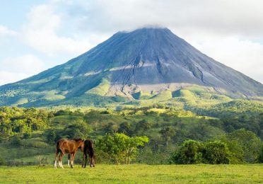 arenal