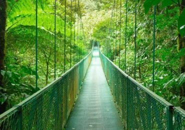 monteverde2