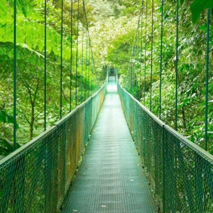 Quepos-Monteverde